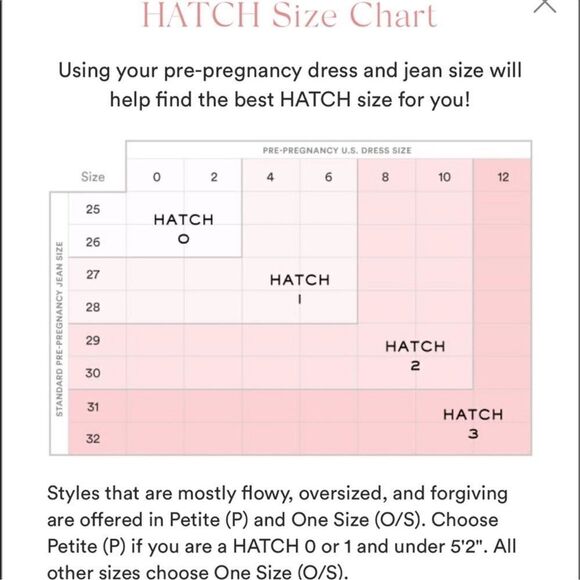 HATCH The Lucia Dress in Blush Daisy - Picture 8 of 9